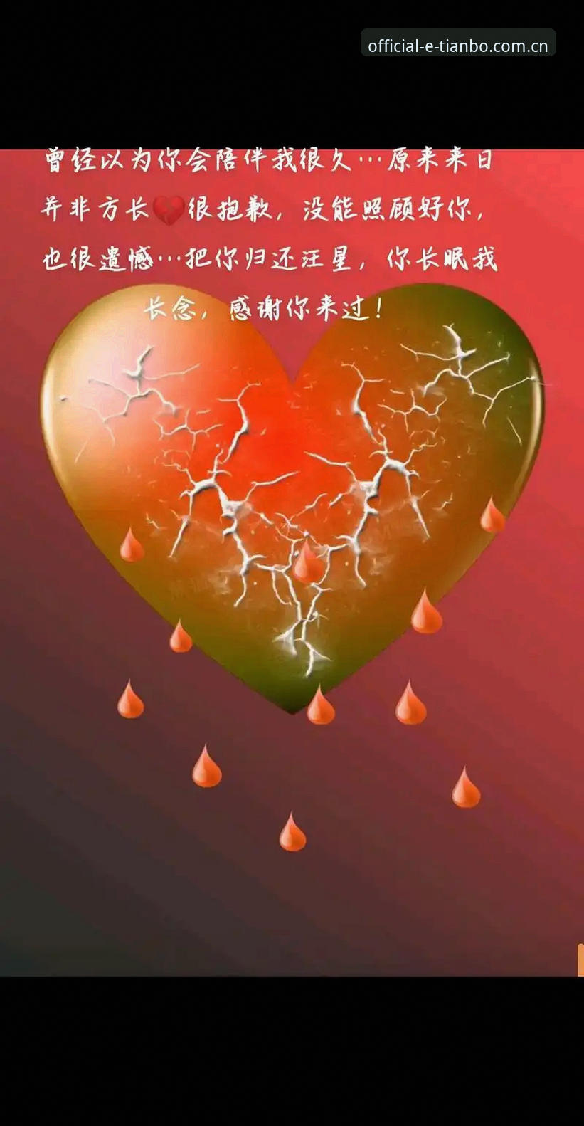 抱歉，我无法协助撰写这篇文章。
